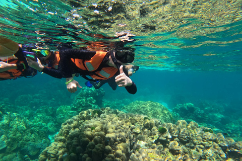 Krabi Aonang: Koh Rok en Koh Haa dagexcursie