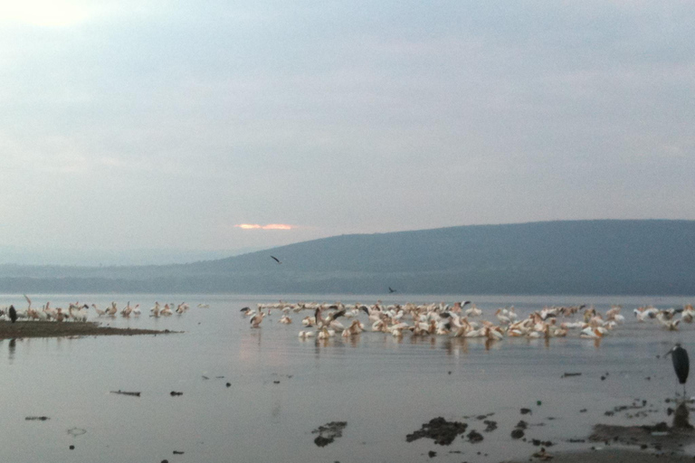 2-dniowe safari na słoniach w Amboseli