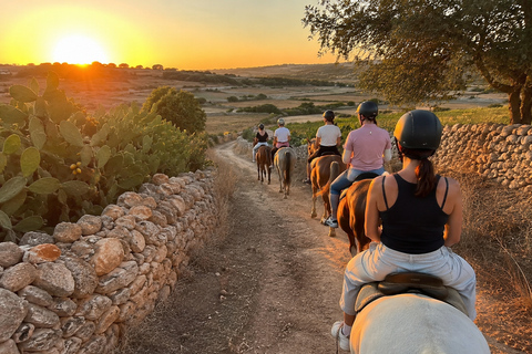 Malta: Sunset Horseback Ride Through Countryside Fields