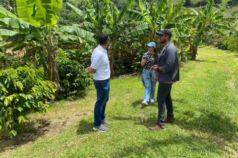 Jayuya : Visite et atelier sur le café à l'Hacienda Prosperidad