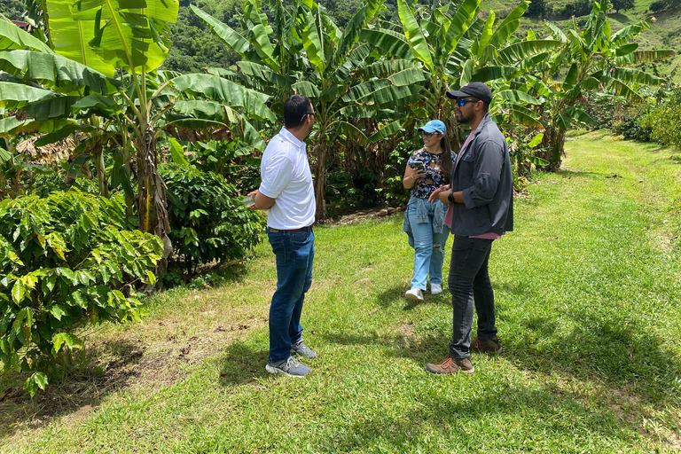 Jayuya : Visite et atelier sur le café à l'Hacienda Prosperidad