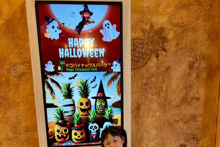 Okinawa: Nago Pineapple Park Ticket & Cart Ride