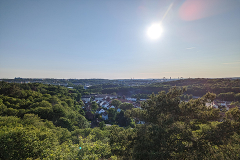 Göteborg: Herfst wandeltour als een plaatselijke bewoner!