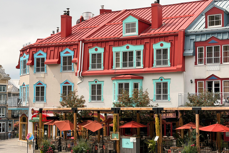Mont-Tremblant: Private Day Trip with Treetop Walk & Gondola