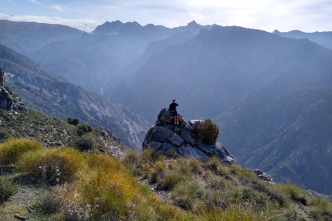 ⭐ Excursión al atardecer y cumbre de Sierra Nevada con cachorro ⭐⭐ Excursión al atardecer y cumbre de Sierra Nevada Excursión privada con cachorro ⭐