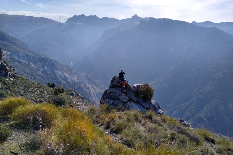 ⭐ Excursión al atardecer y cumbre de Sierra Nevada con cachorro ⭐⭐ Excursión al atardecer y cumbre de Sierra Nevada Excursión privada con cachorro ⭐