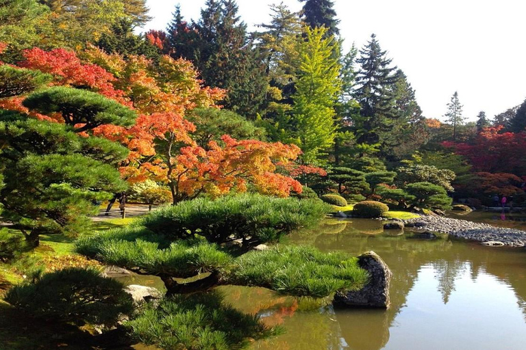 Seattle: Cherry Blossom Tour with Gardens & Pike Place