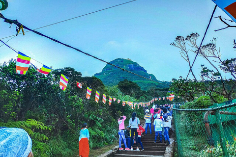 From Nuwara Eliya: Adam's Peak Climb & Ella Drop