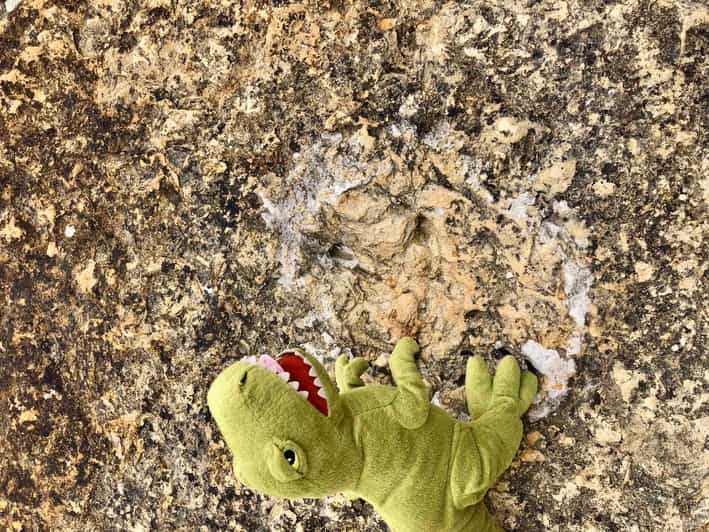 RANDONNEES autour de Lisbonne : Sentiers des dinosaures jurassiques d ...