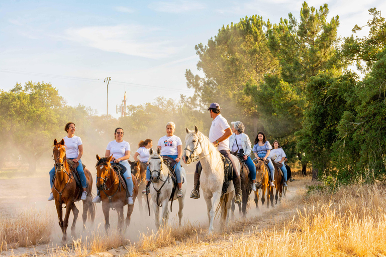 Horseback riding on the beach - PDT Beach horseback riding in group