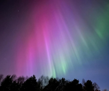 Desde Rovaniemi: Excursión a la Aurora Boreal con merienda de campamento