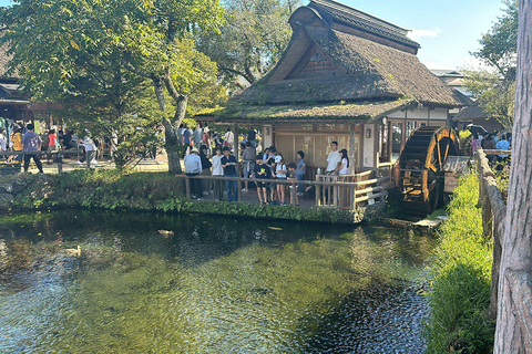 Mount Fuji Full-Day Private Tour from Tokyo (Customizable) Luxury Toyota Crown or SAI