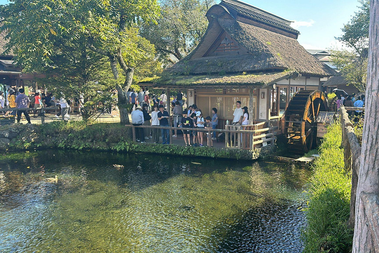 Mount Fuji Full-Day Private Tour from Tokyo (Customizable) Luxury Toyota Crown or SAI