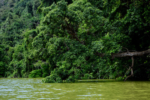 Duluti-See: Kanufahren, Naturwanderung und ExtraKajakfahren, Spaziergang in der Natur und Töpferkurs