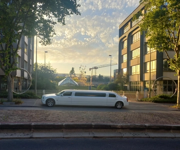 Tour of Paris by limousine by day or night.