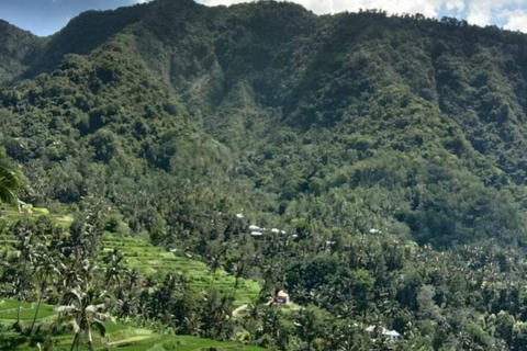 Nord-Bali: Sonnenaufgang am Ulundanu-Tempel und Sekumpul-WasserfallOption Preisgestaltung kurzes Trekking am Sekumpul Wasserfall