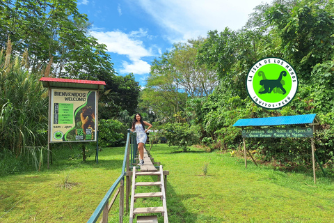 Iquitos: Hele dag | Bezoek aan Apeneiland (officieel)