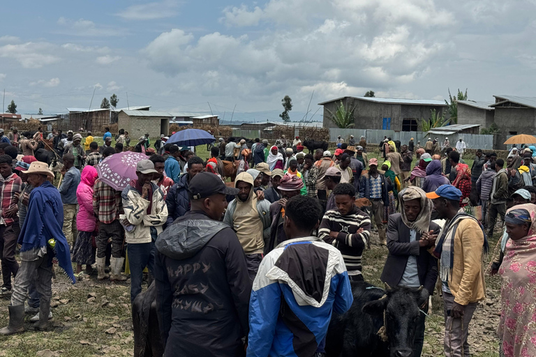 From Addis Ababa: 3-Day Ethiopia Highlights Adventure