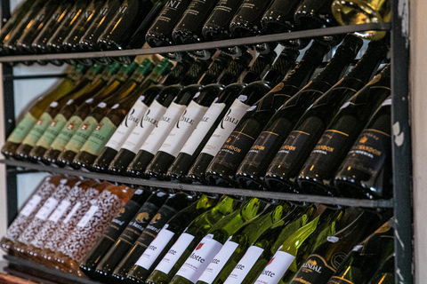 Von Underberg aus: Sani Pass Private Tagestour