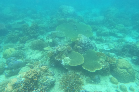 Coron: Doejoeng kijken met zeeschildpadden en koraaltuin tour