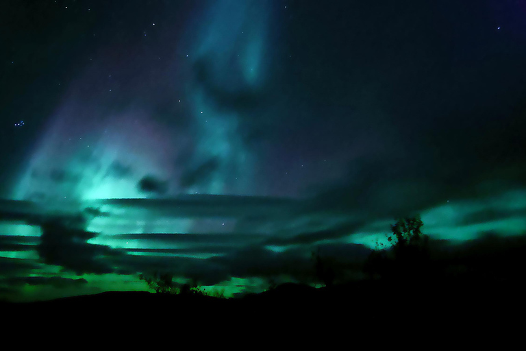 Abisko: Northern Lights Hike with Husky Puppies