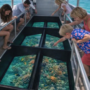 Bali: Sanur 1-Hour Glass-Bottom Boat Experience