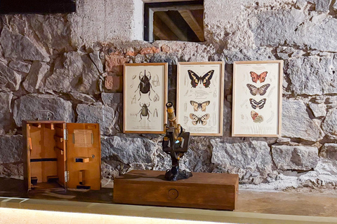 Mexico : visite privative de Xochimilco, Coyoacán et Frida KahloVisite privative avec entrée à la Casa Azul de Frida Kahlo