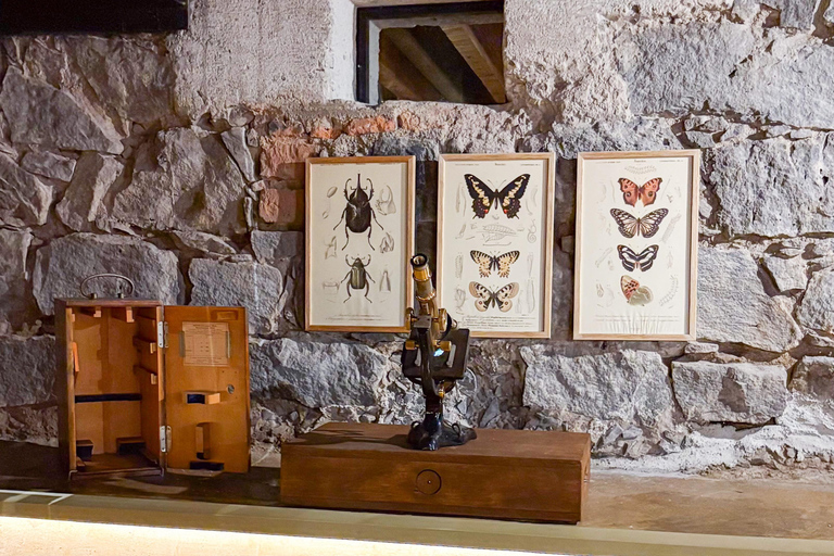 Mexico : visite privative de Xochimilco, Coyoacán et Frida KahloVisite privative avec entrée à la Casa Azul de Frida Kahlo