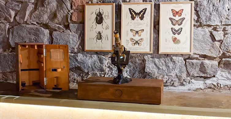 Mexico City: Frida Kahlo Museum or Casa Kahlo Entry Ticket photo 7