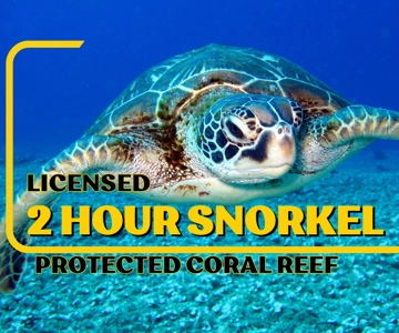 LICENSED Two-Hour Snorkeling Adventure Cahuita National Park