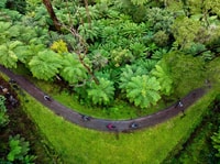 Yarra Valley, Redwood Forest Mountain Bike Adventure - Housity