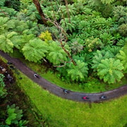 Yarra Valley: Redwood Forest Mountain Bike Adventure