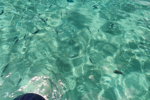 Trou D&#039;Eau Douce: Wycieczka po 5 wyspach Mauritiusa z lunchem/napojami