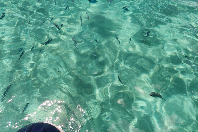 Trou D&#039;Eau Douce: Wycieczka po 5 wyspach Mauritiusa z lunchem/napojami