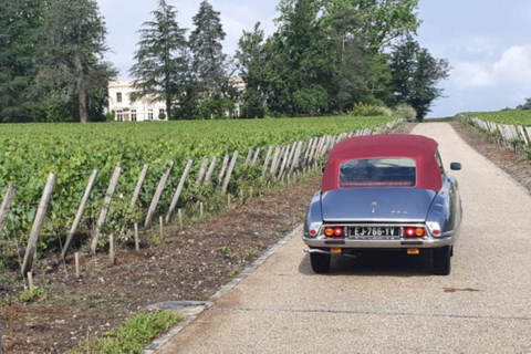 Bordeaux: Luxury Private Tour of Bordeaux and Vineyards