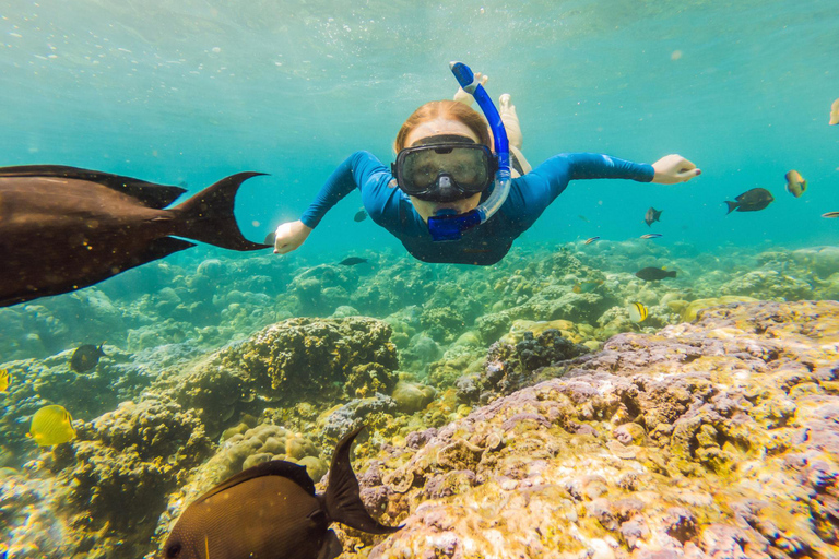 Ko Lanta: Snorkeling Adventure Tour to Koh Rok and Koh Haa Snorkeling Adventure with pickup in Ko Lanta