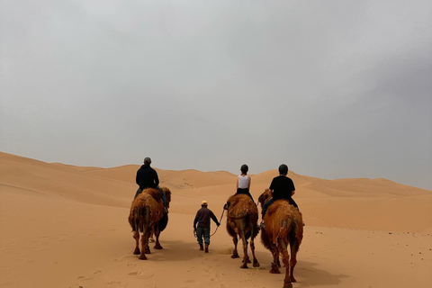 Explore the fascinating Mongolian Gobi Desert