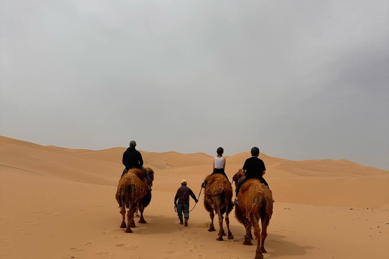 Explore the fascinating Mongolian Gobi Desert