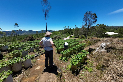 From Jakarta: Bandung Day Trip with Guide and Transport