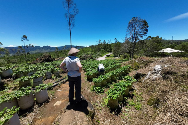 From Jakarta: Bandung Day Trip with Guide and Transport