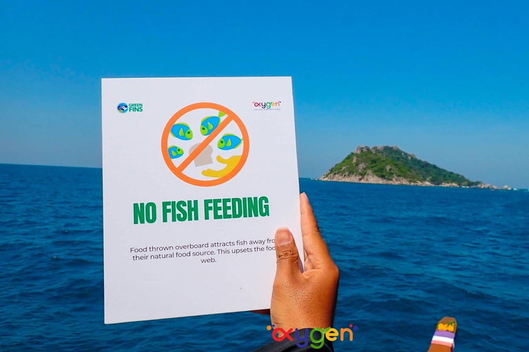 Koh Tao in a Day: Turtles, Hidden Reefs & Nangyuan Viewpoint
