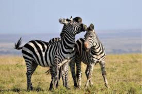From Nairobi: Lake Magadi 2-Day Trip with Game Drive & Hike