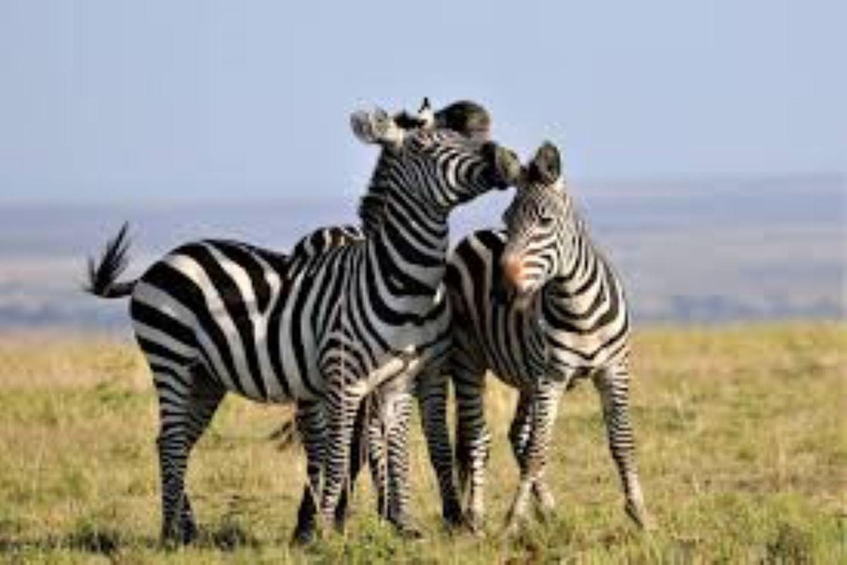 From Nairobi: Lake Magadi 2-Day Trip with Game Drive & Hike