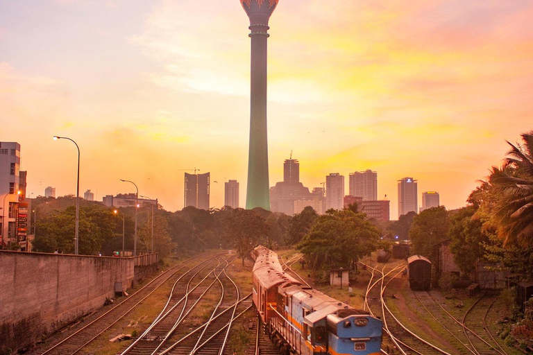 Sri Lanka Tea Estate & Galle Iconic Coastal Train Experience