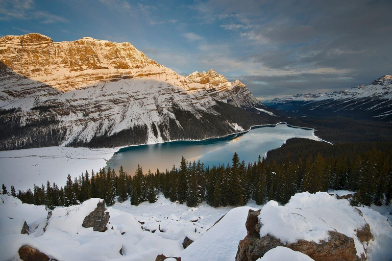 Desde Calgary/Banff/Canmore: Excursión de un día a las Rocosas con el Campo de Hielo