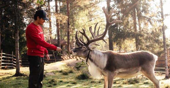 Autumn Magic Reindeer Encounter at Santa Claus Village