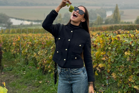 Reims: Moët & Chandon and Family-Run Winery Day Tour & Lunch Epernay: Moët & Chandon, Family-Run Winery Day Tour & Lunch