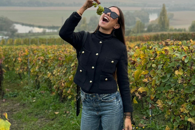 Reims: Moët & Chandon and Family-Run Winery Day Tour & Lunch Epernay: Moët & Chandon, Family-Run Winery Day Tour & Lunch