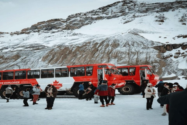 Athabasca Glacier Ice Odyssey Experience-All-Terrain Vehicle