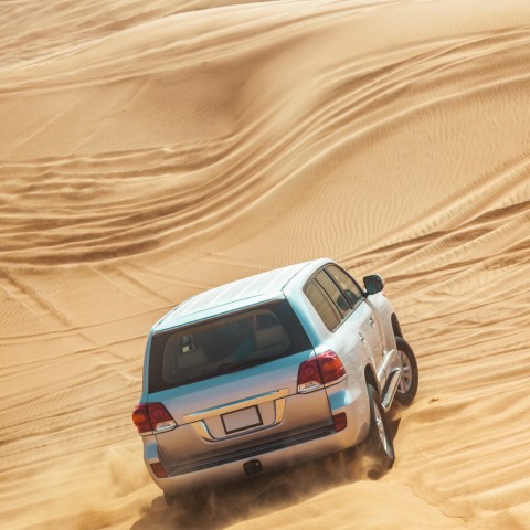 Visit Desert Safari, Camel Ride, Sand Boarding, Inland Sea Visit in Doha, Qatar